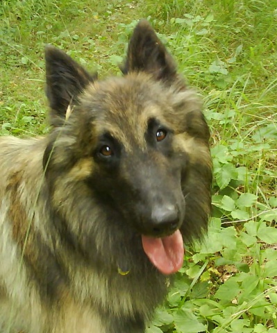 b_1252003050.jpg